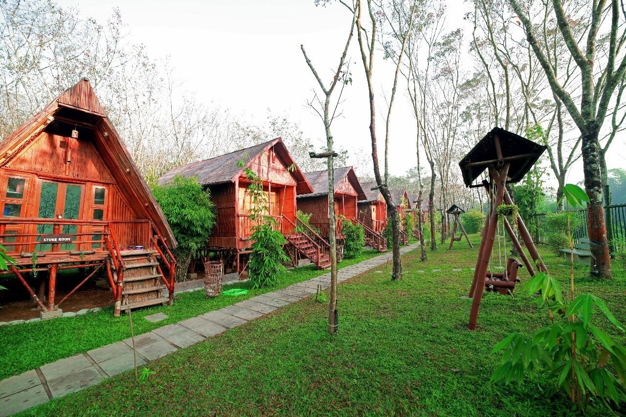 Una hilera de cabañas de madera con escaleras exteriores, rodeadas de abundante vegetación y un sendero despejado.