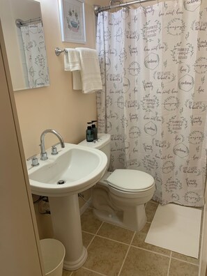 Regadera, secadora de cabello, toallas, jabón 