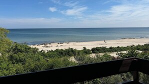 En strandutsikt med en klar himmel, en sandstrand och grönska i förgrunden.