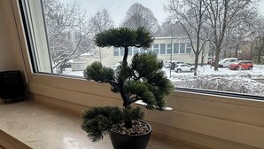 A potted bonsai tree on a windowsill with a view of a snowy parking lot and bare trees outside. - FeWo am Deich 2, modern apartment with balcony and elevator (Bremerhaven)