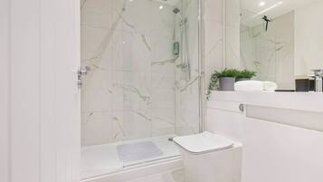 Shower, hair dryer