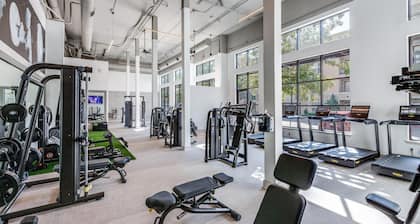 Softly Styled 1 King +Sofa Bed Haven Frisco, TX