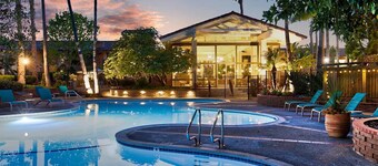 Disneyland Days, Surf City Waves, Newport Nights