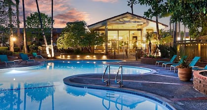 Disneyland Days, Surf City Waves, Newport Nights