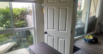 Disneyland Days, Surf City Waves, Newport Nights