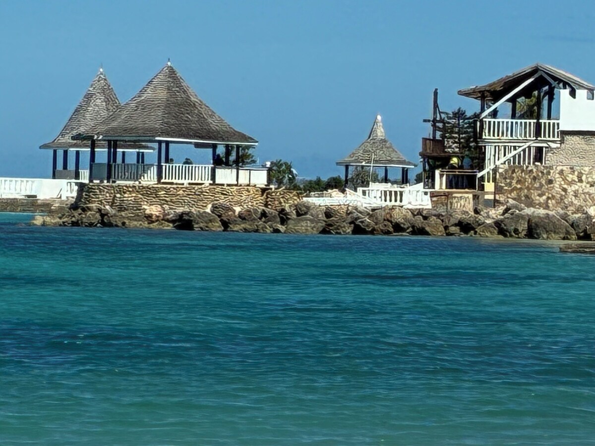 Imagen de perfil del propietario o de la propietaria