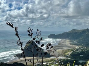 Eine Küstenlandschaft mit Strand, Meer und Vegetation.