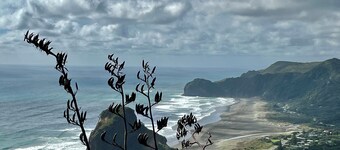 Tranquil sunny spot in the heart of Piha. 10 minutes walk to the beach.