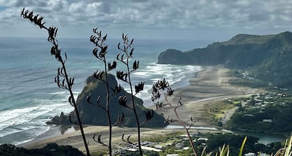 Tranquil sunny spot in the heart of Piha. 10 minutes walk to the beach.