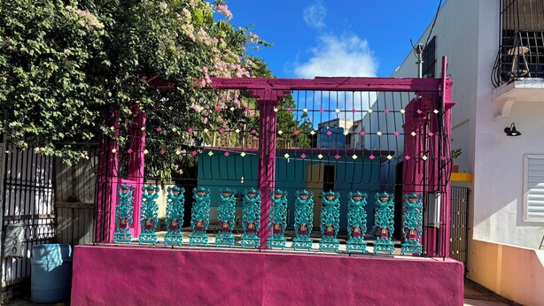 Een gebouw met een roze en turquoise gevel, een metalen hekwerk met decoratieve details, en een boom met roze bloemen.