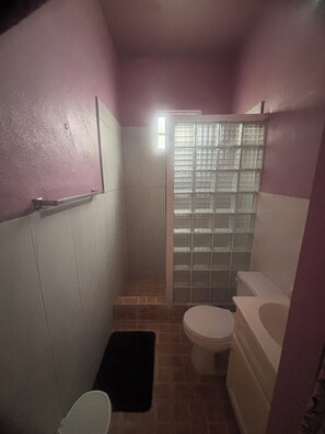Un bagno piccolo con WC, lavandino e zona doccia.