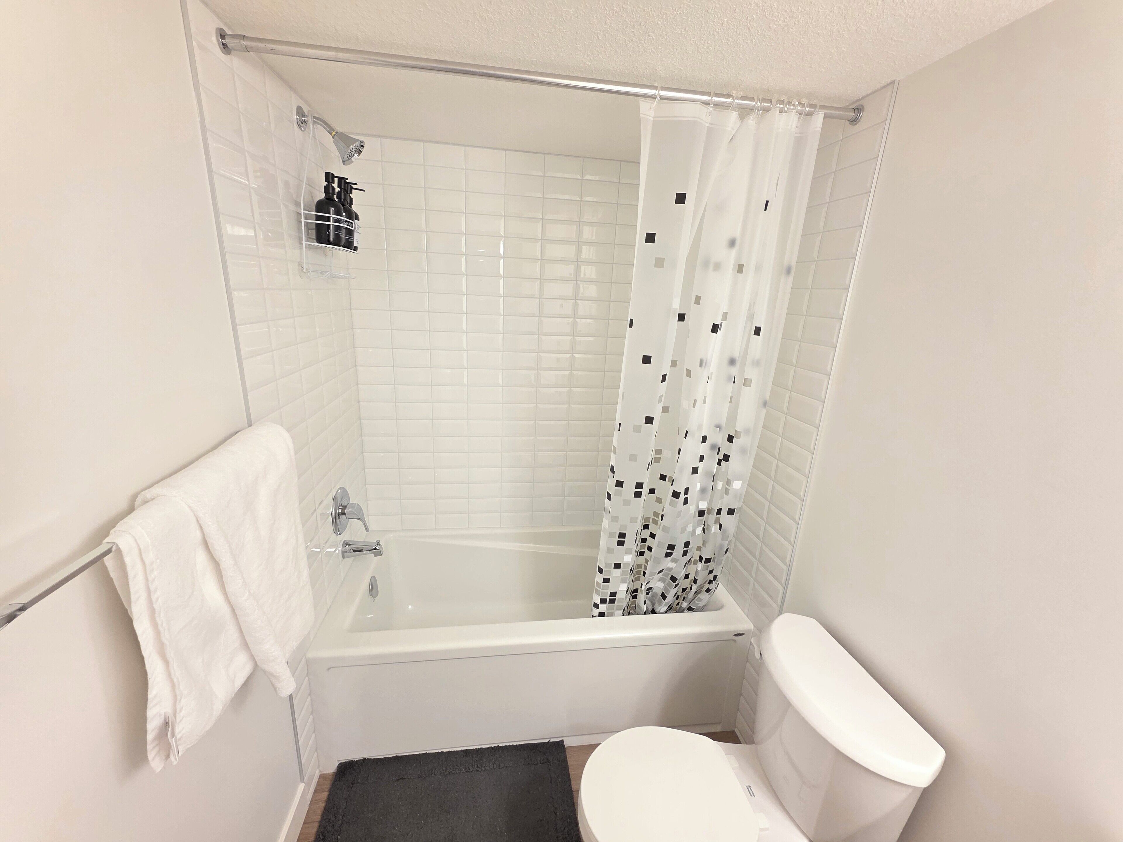 Hair dryer, towels, soap, shampoo