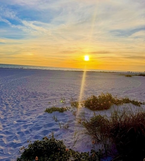 Escena de playa con el sol poniéndose sobre el agua, creando una silueta de personas y vegetación en primer plano.