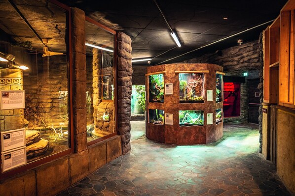 A museum exhibit with glass enclosures, stone walls, and informational plaques. - Appartements im Freizeitpark Weissenhauser Strand (Wangels)