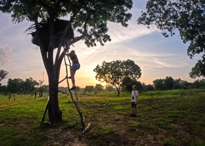 Miscellaneous - Safaria Lodge Wilpattu (Pahala Maragahawewa)