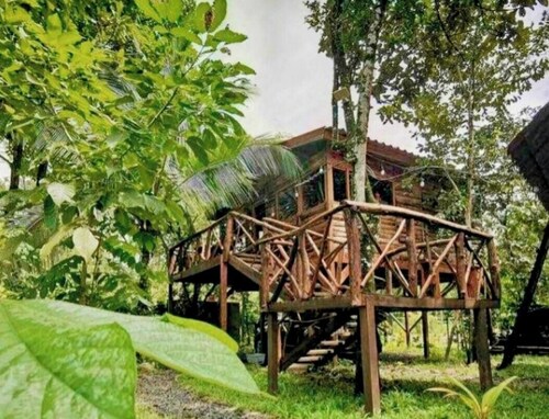 Tree House River