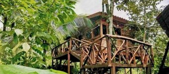 Tree House River