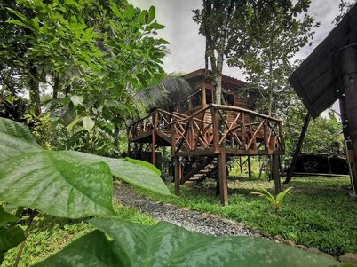 Tree House River