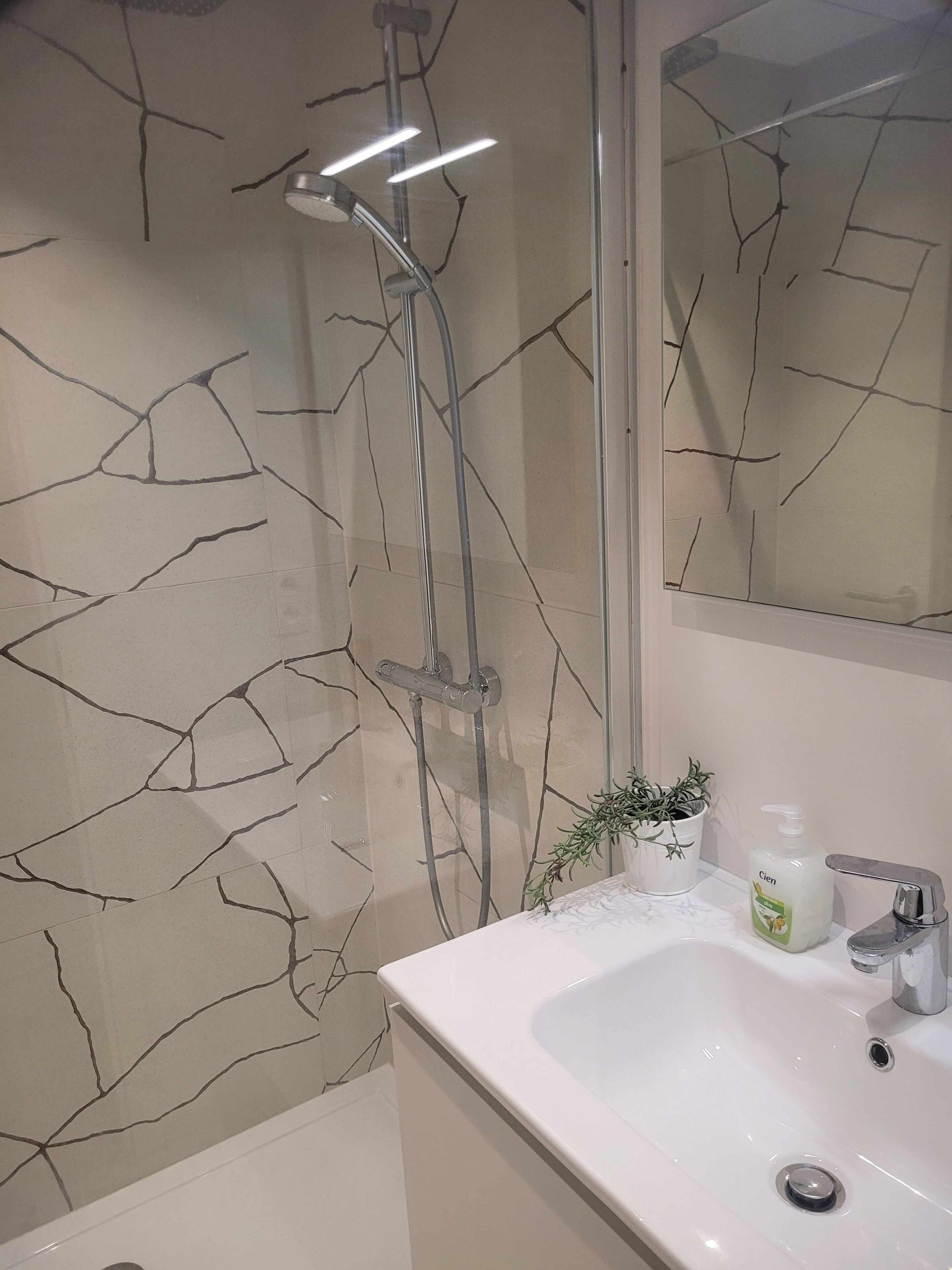 Hair dryer, towels, soap, toilet paper