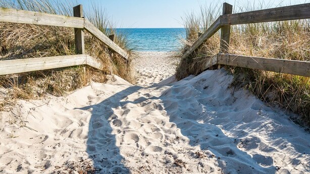 A sandy beach path leading to the ocean, flanked by wooden fences and tall grasses. - Charming Townhouse in Central Ystad (Ystad)