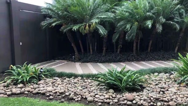 A landscaped garden with palm trees, a stone pathway, and a low wall. - Spacious 2-BR apartment in the best location! (San Rafael de Escazú)