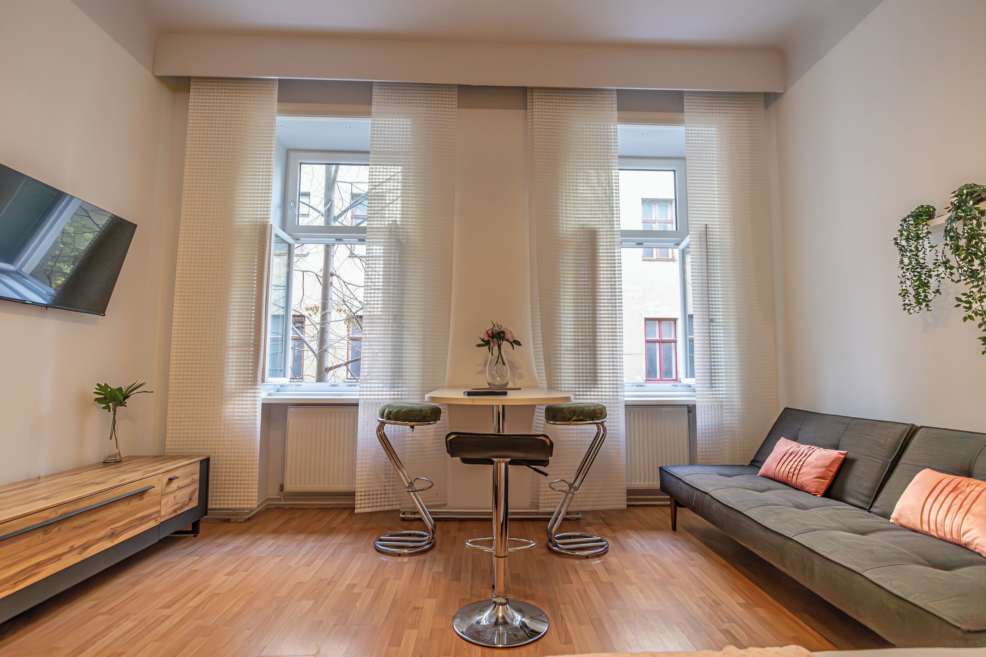 Basic Apartment | Living area