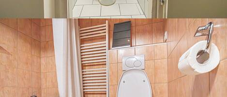 A bathroom with a toilet, a bidet, and a shower area.