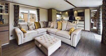 Stokesley (Pet), Great Ayton