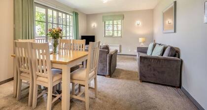 Bargany (Pet), Dailly