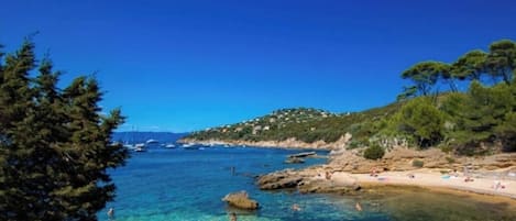 Sun loungers, beach towels