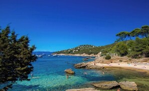 Camastros y toallas de playa 