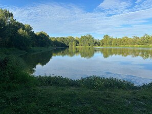 Un lac paisible, entouré d’une végétation luxuriante et d’arbres.