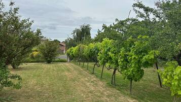 House | View from property