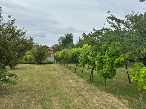 Lovely Holiday Home in Loire for 10
