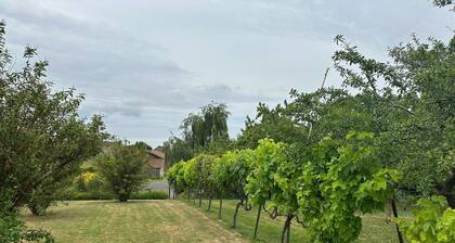 Lovely Holiday Home in Loire for 10