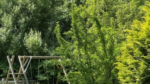 Un columpio de madera en un jardín verde y frondoso, con abundante vegetación al fondo.