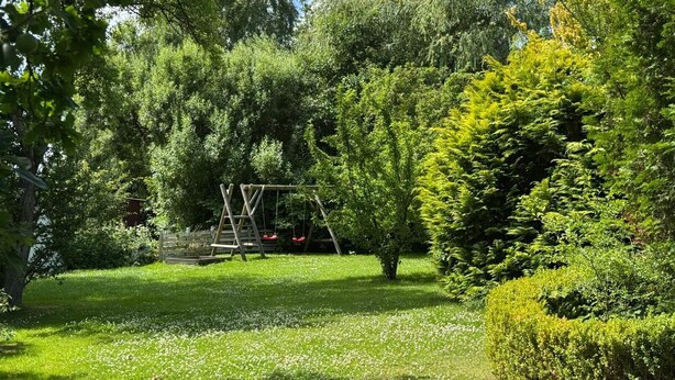 Un jardín con un columpio de madera, rodeado de exuberante follaje y árboles.
