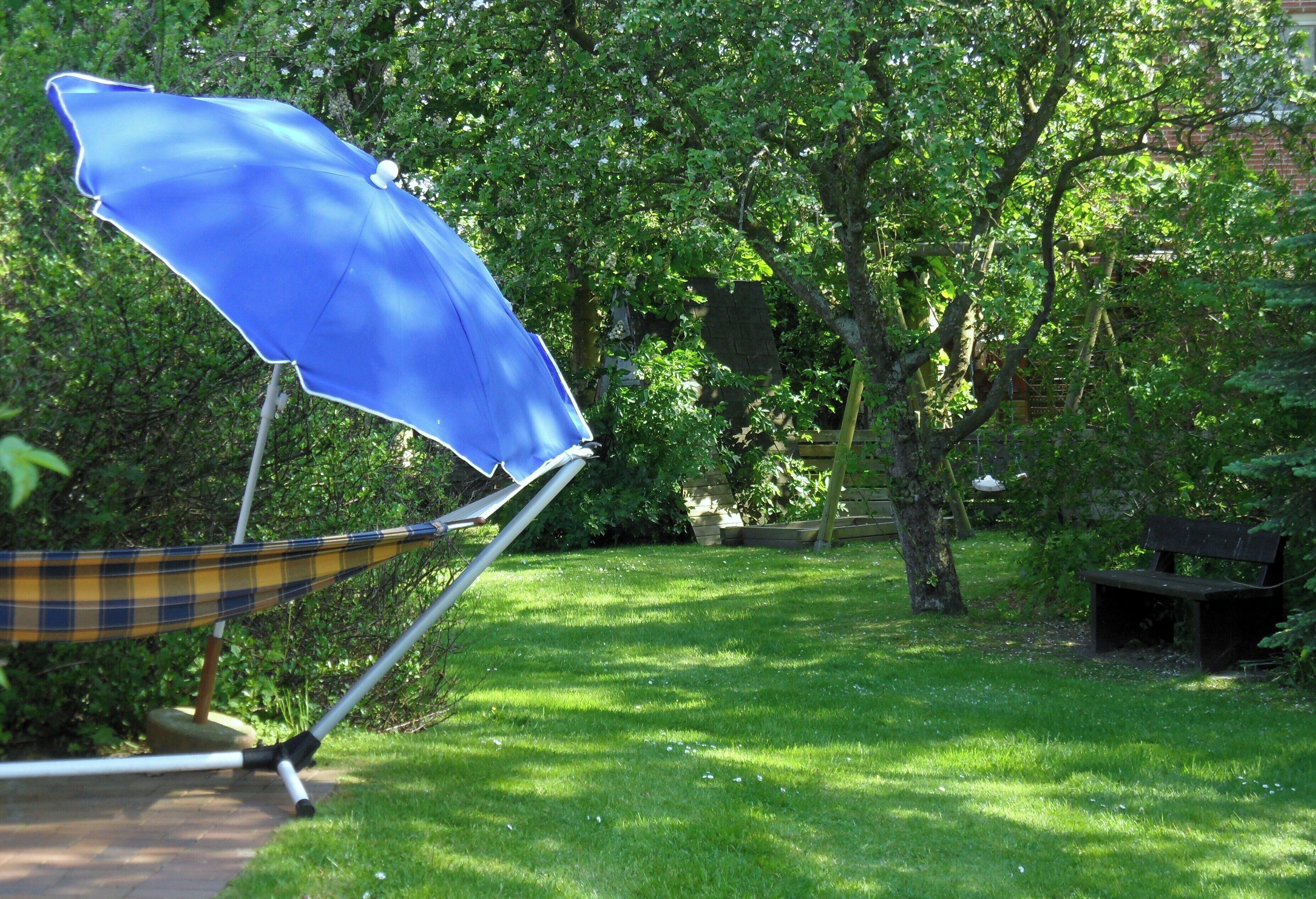 A hammock with a blue canopy in a grassy backyard with trees and a bench.