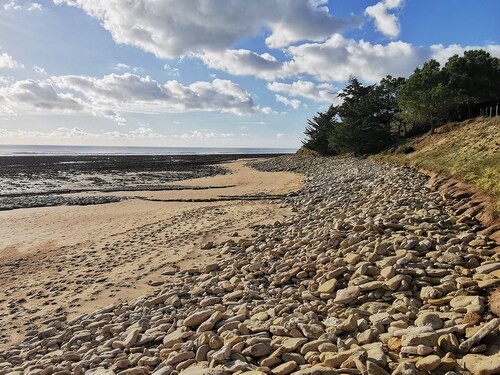 Cozy house for 6, 200m from beach, pets allowed, parking