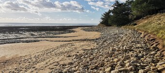 Cozy house for 6, 200m from beach, pets allowed, parking