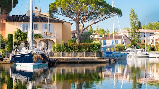 Un porto turistico con barche ormeggiate, un grande albero al centro e edifici con balconi.