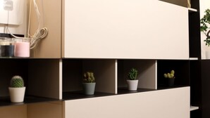 Um interior moderno com design minimalista, apresentando uma estante branca com vários compartimentos, alguns contendo pequenas plantas em vasos.