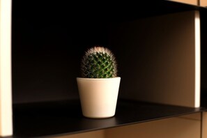 A cactus in a white pot on a black shelf. - Hostmate - Milano - Pistrucci  (Milano)
