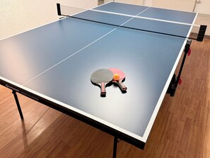 Games room - House Altburgstädtel - idyllic location close to the city for 8 people In Dresden in the countryside (Dresden)