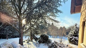 Un paysage enneigé avec un grand arbre et un bâtiment.