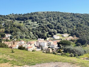 A hillside village with traditional architecture, terraced fields, and dense forest. - Petit coin de paradis (Alata)