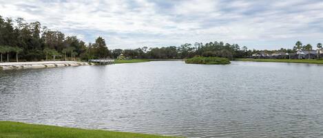 A calm lake with a grassy shoreline, surrounded by trees and a few buildings in the background.