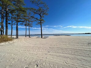 Ein Sandstrand mit Picknicktischen und einer Baumreihe.