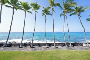 A coastal view with tall palm trees and a clear blue sky. - Kona Magic Sands 211 - sitting on top of the Kona Coast (Kailua Kona)