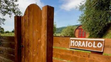 Studio Deluxe - utsikt mot vingÄrd | Detalj exteriör